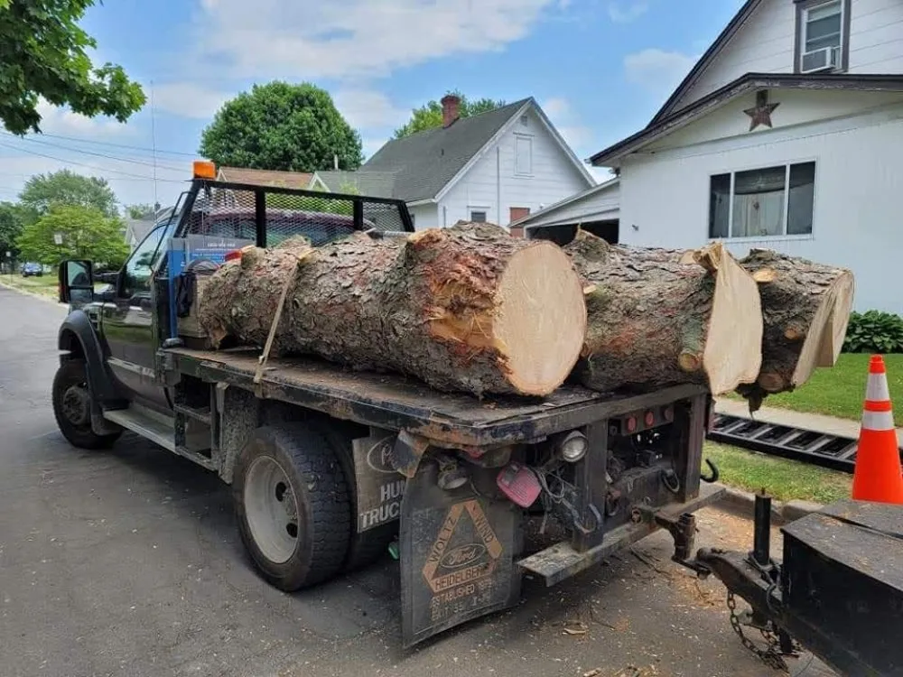 Professional yard maintenance experts serving Apalachin, NY - EV Tree & Landscaping
