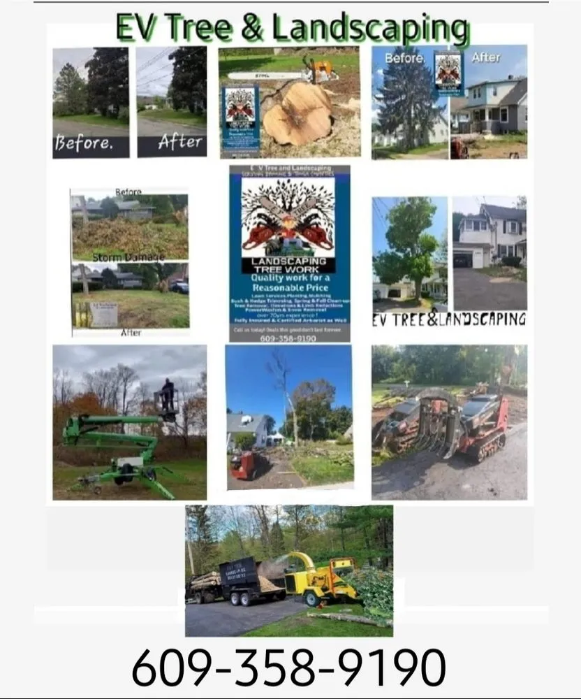 Trusted landscape installation in Apalachin, NY - EV Tree & Landscaping