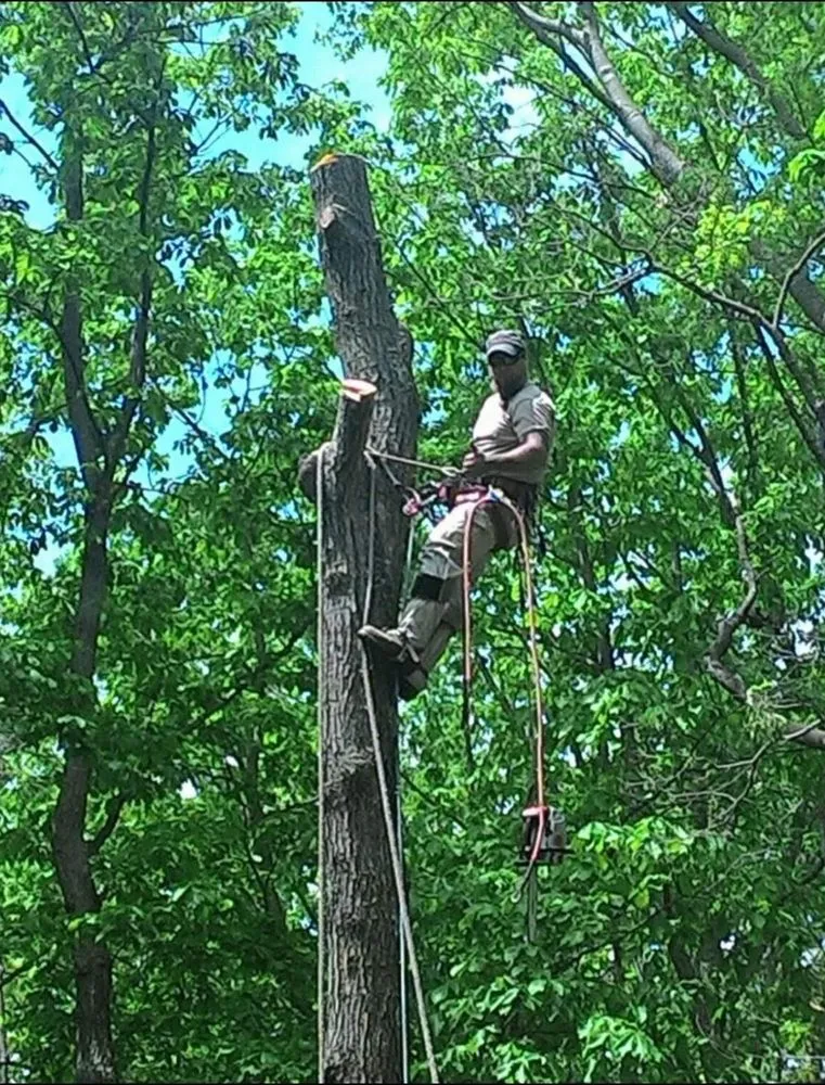 Local yard maintenance for beautiful yards in Apalachin, NY by EV Tree & Landscaping
