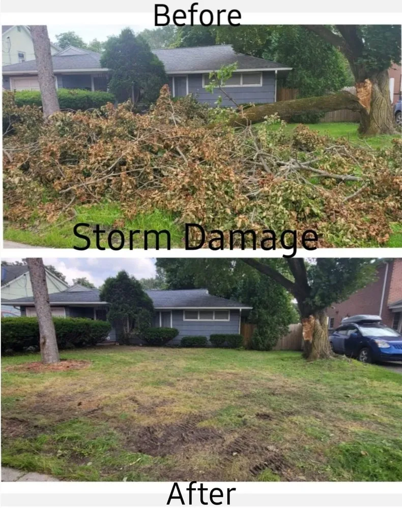 Expert yard maintenance in Apalachin, NY - EV Tree & Landscaping