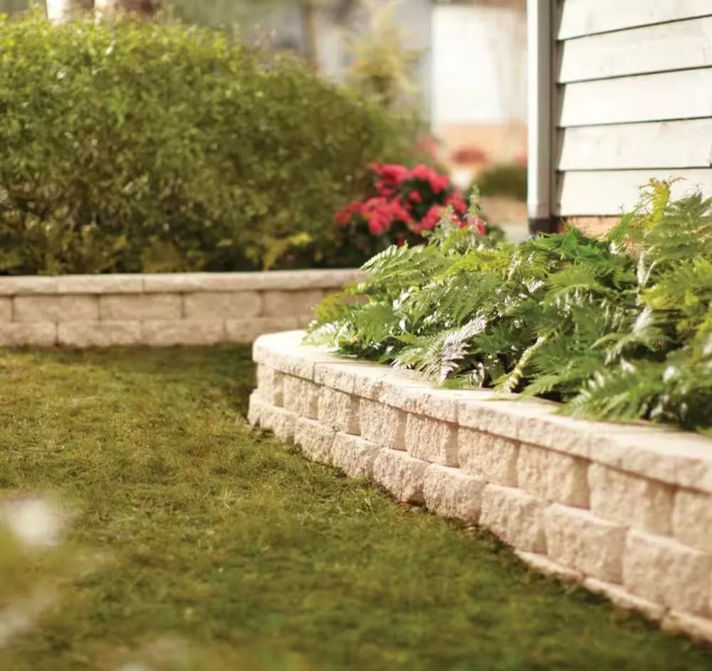 Top-rated yard cleanup service near you in Denver, CO by EV Vicion Landscape Y Concrete