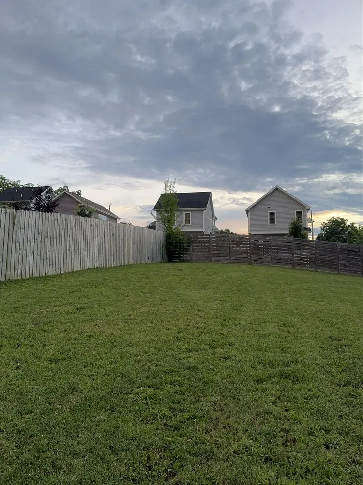 Reliable yard cleanup service in Clayton, NC by Eva Landscaping