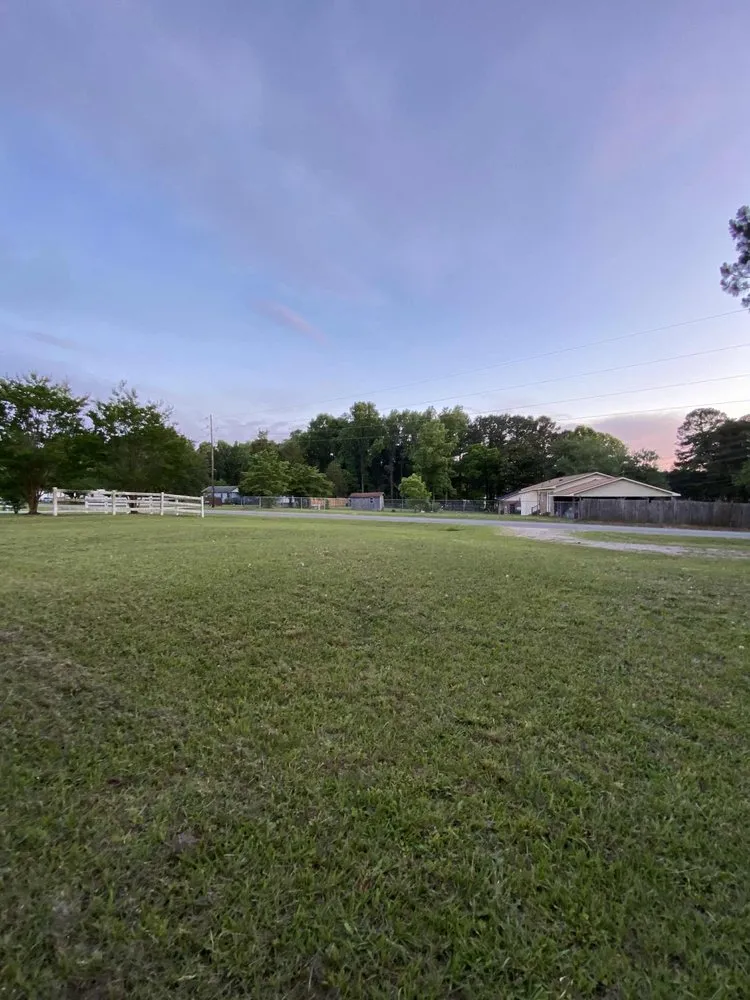 Expert yard cleanup service experts serving Clayton, NC - Eva Landscaping