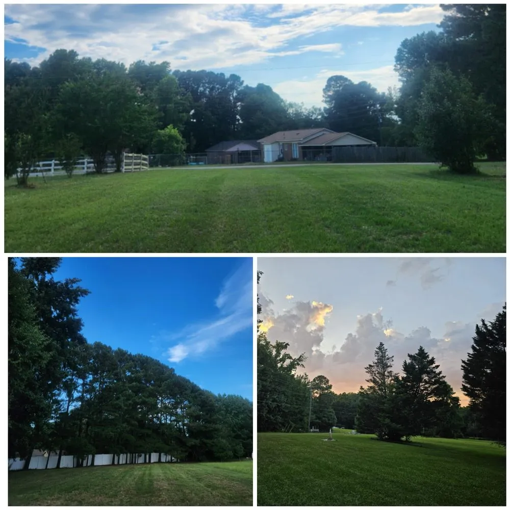 Reliable landscape installation for year-round maintenance across Clayton, NC - Eva Landscaping