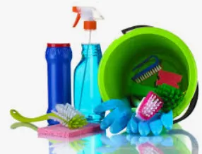 Affordable lawn mowing service in Robstown, TX - Eva Ramos