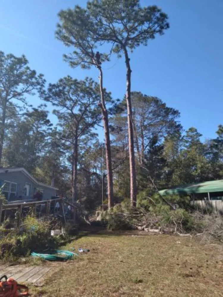 Professional landscape installation in Hernando, FL - Evan Block Lawn And Tree Service