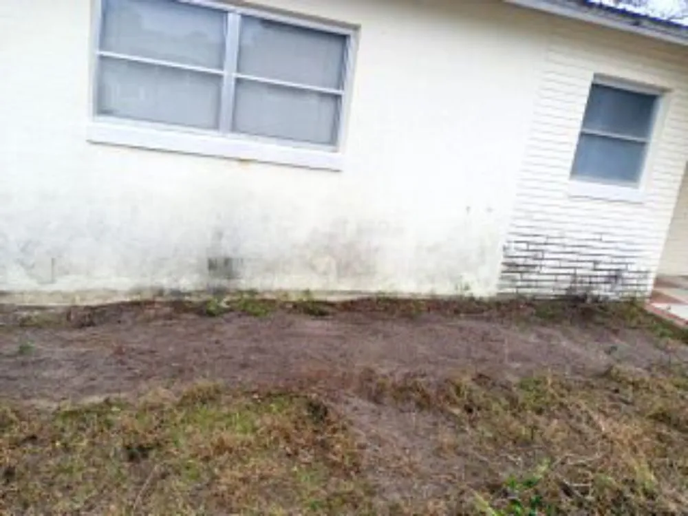 Expert landscape installation in Hernando, FL - Evan Block Lawn And Tree Service