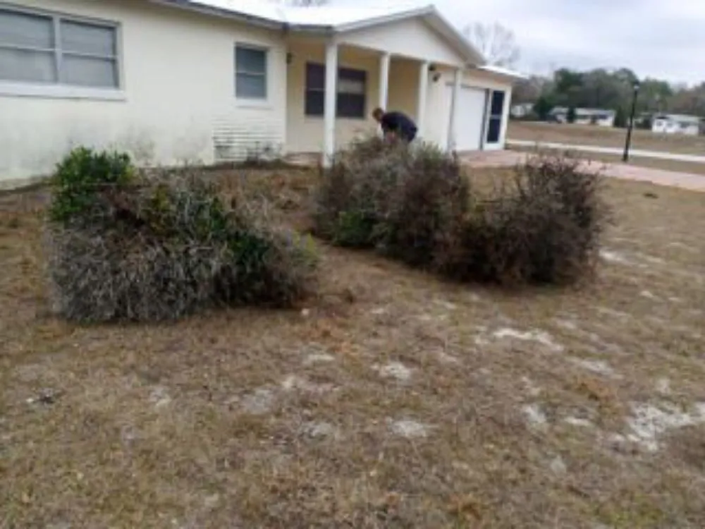 Reliable landscape installation for beautiful yards across Hernando, FL - Evan Block Lawn And Tree Service