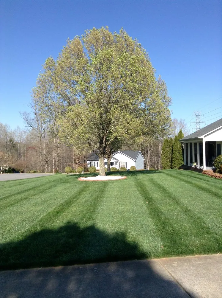 Affordable landscape installation for beautiful yards across Hickory, NC - Evan Hefner Landscaping