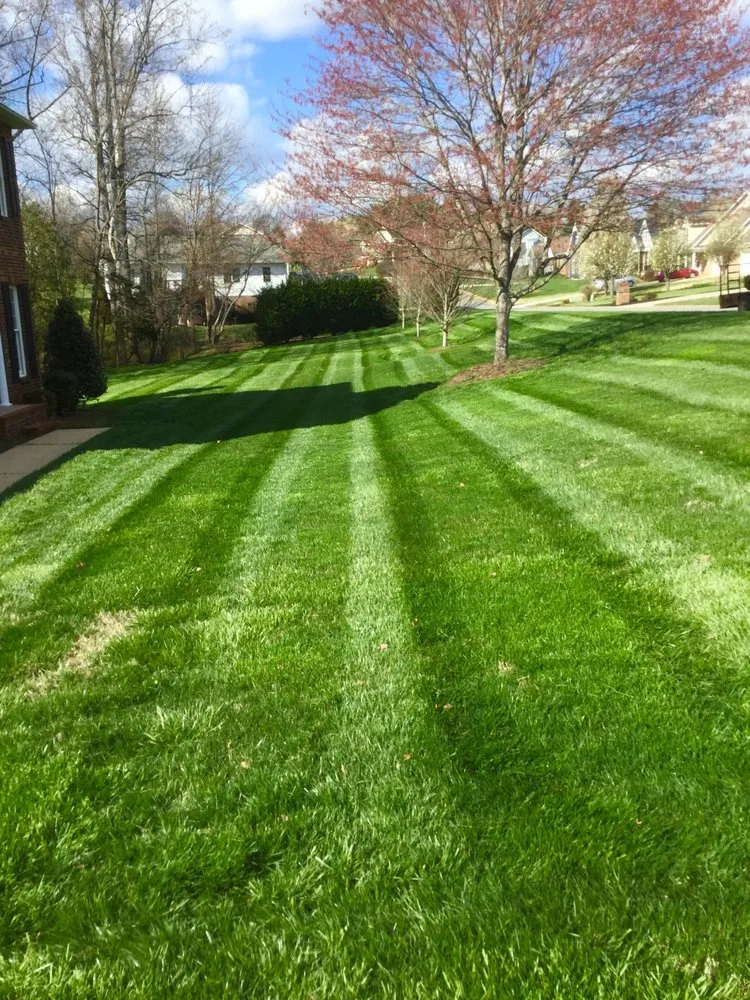 Custom outdoor landscaping experts serving Hickory, NC - Evan Hefner Landscaping