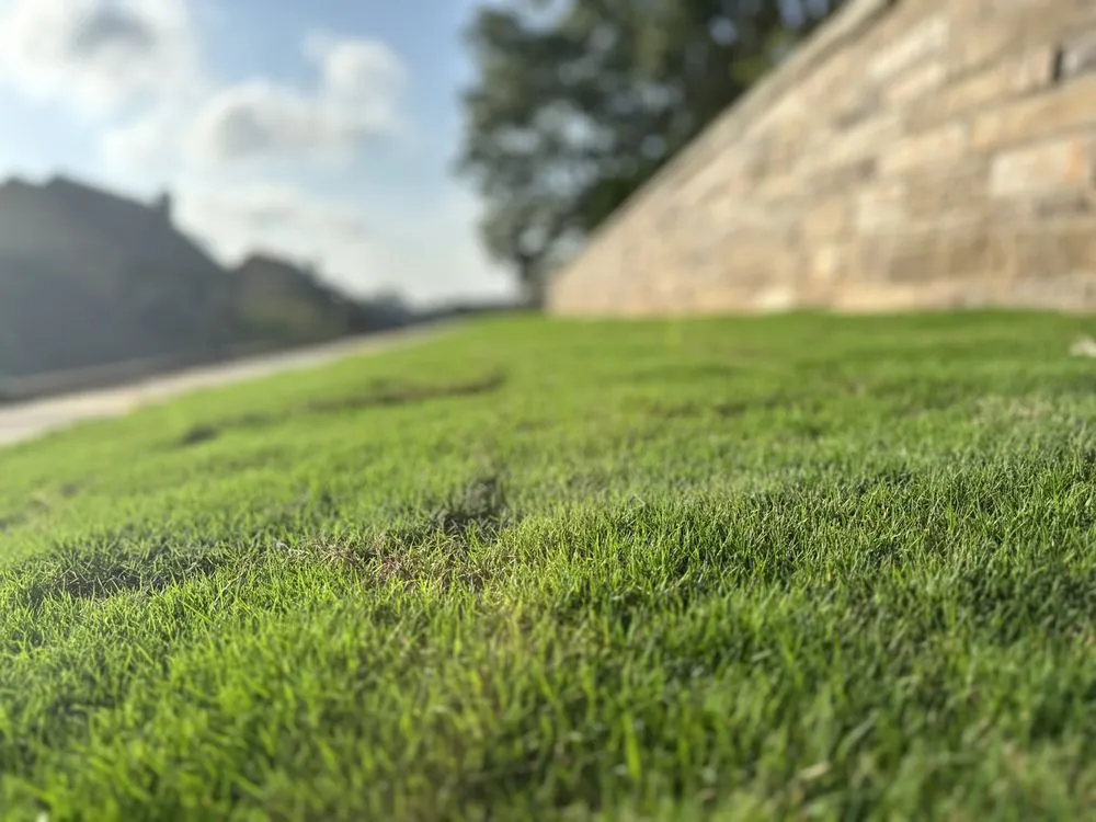 Reliable yard maintenance experts serving Marietta, GA - Evan Landscape Innovation