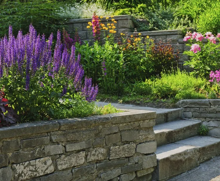 Reliable lawn care service in New Castle, CO - Evan Rather Construction