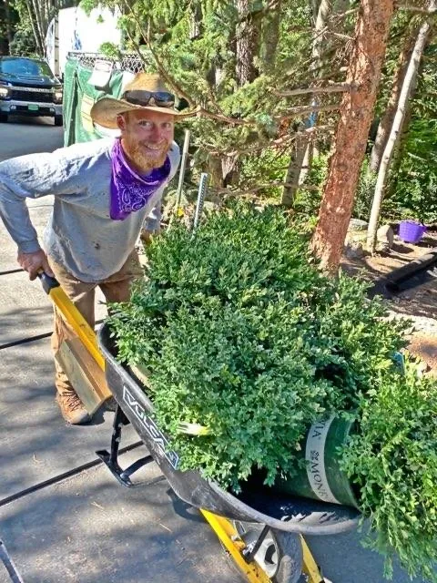 Local lawn mowing service near you across New Castle, CO - Evan Rather Construction