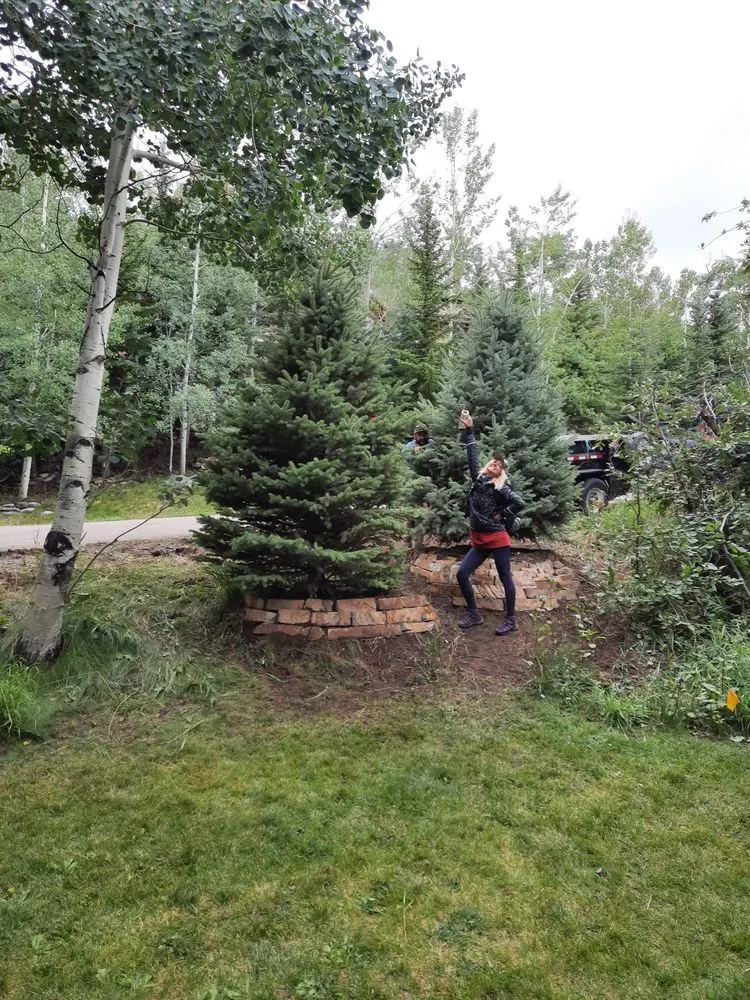 Reliable yard cleanup service in New Castle, CO by Evan Rather Construction