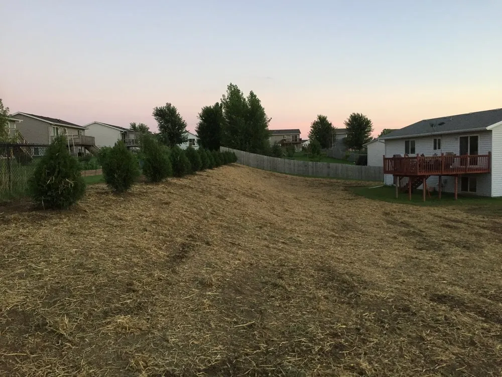 Custom outdoor landscaping in Byron, MN by Evans Companies