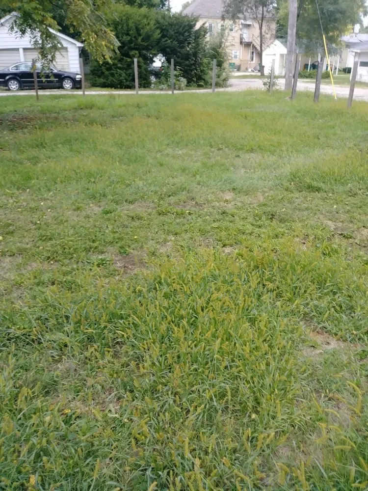 Expert garden landscaping in Streator, IL by Evans Landscaping and Removal