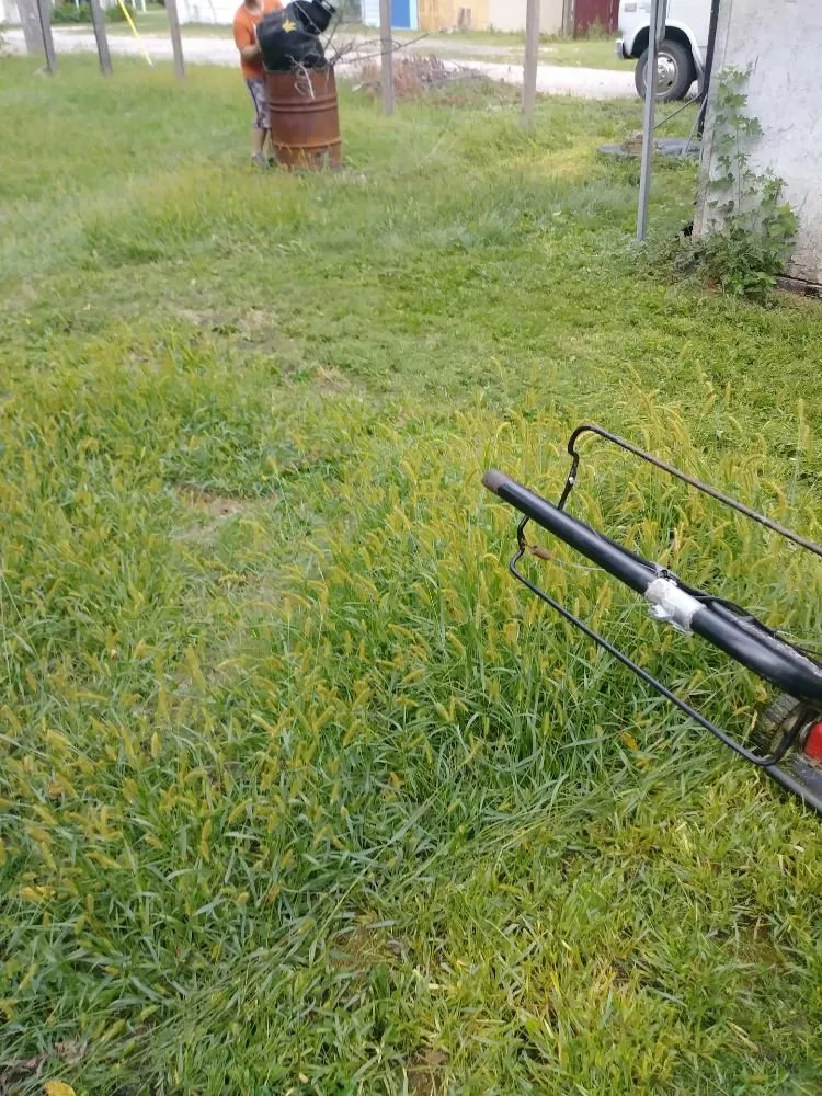 Custom yard maintenance experts serving Streator, IL - Evans Landscaping and Removal