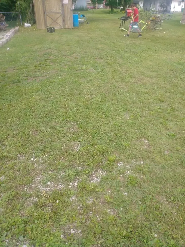 Expert landscaping services for outdoor upgrades in Streator, IL by Evans Landscaping and Removal