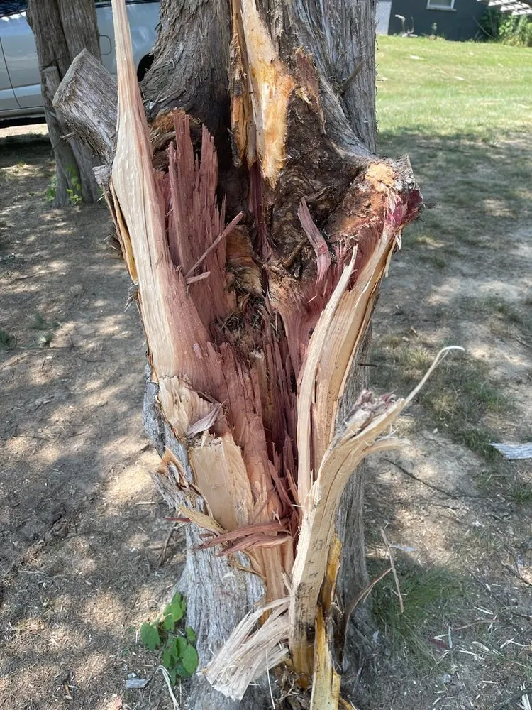 Professional landscape installation in Cincinnati, OH - Evans Landscaping