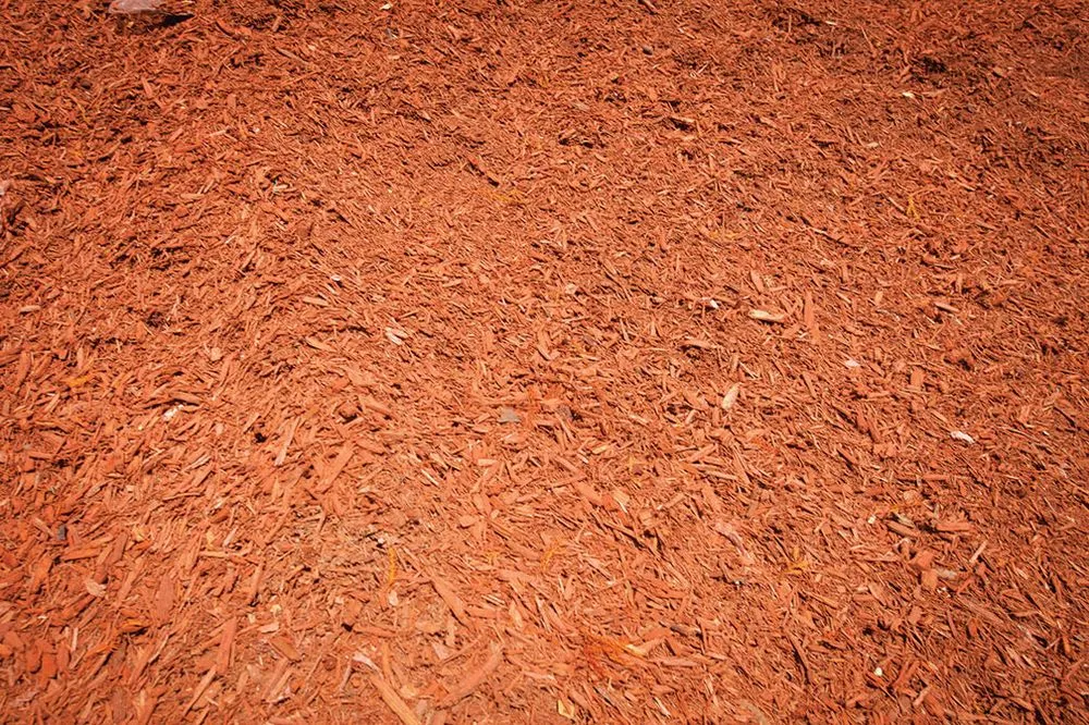 Professional landscape installation in Cincinnati, OH by Evans Landscaping