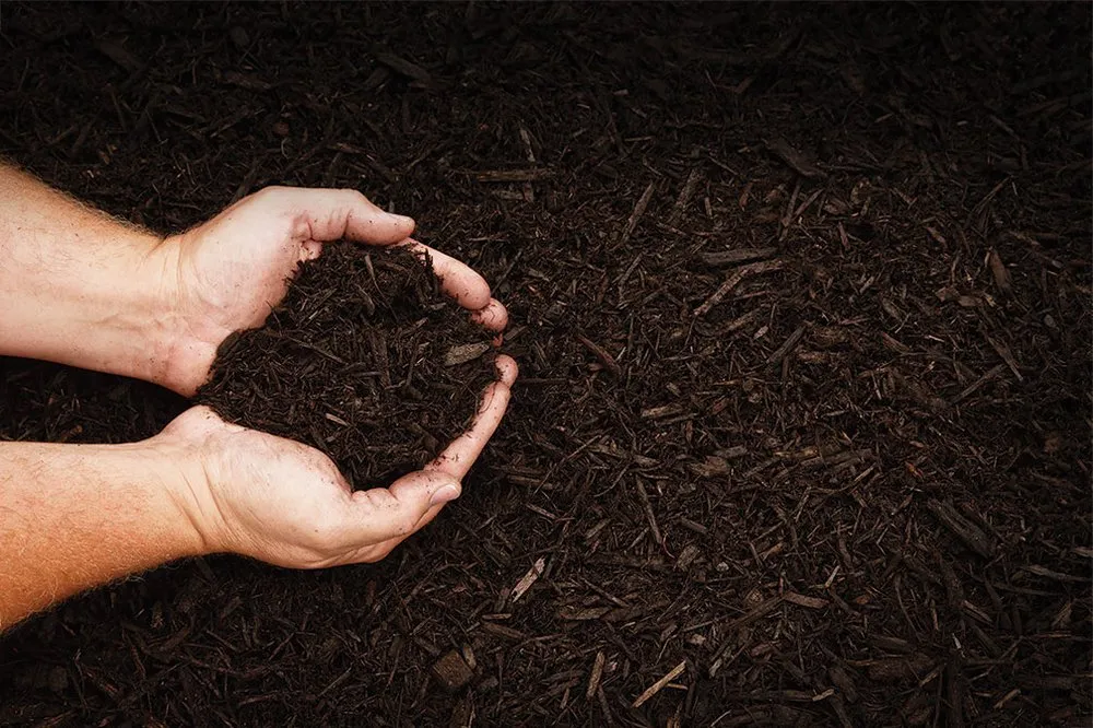 Affordable lawn care service experts serving Cincinnati, OH - Evans Landscaping