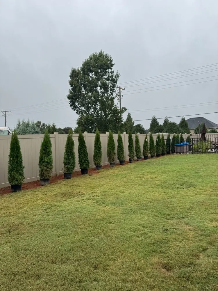 Custom yard maintenance experts serving Pelzer, SC - Evans Landscaping