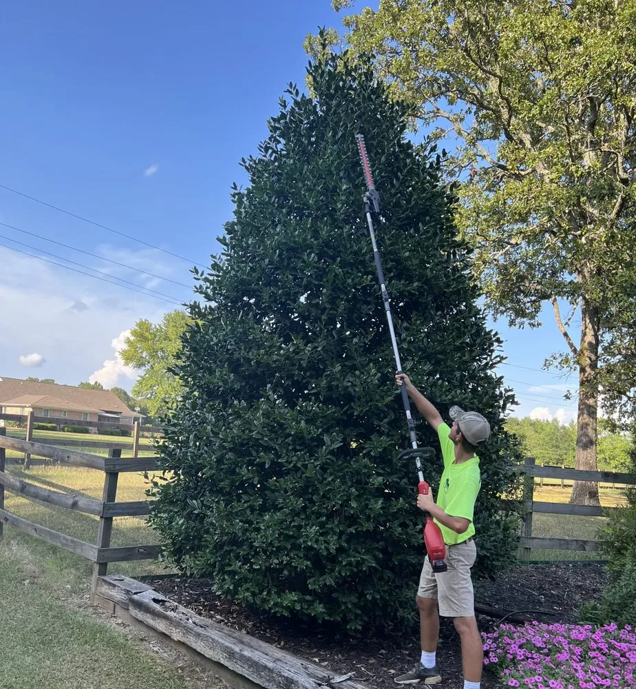 Affordable yard cleanup service experts serving Ward, AR - Evans Landscaping