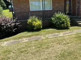 Expert yard cleanup service for year-round maintenance across Bridgeport, WV - Evans Lawn Care