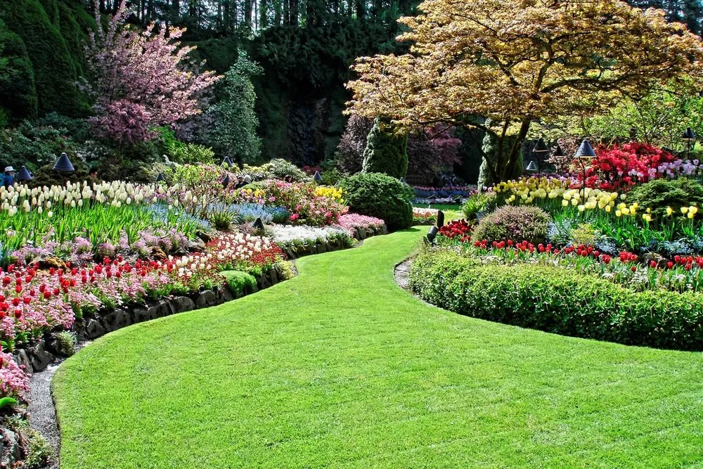 Professional landscaping services in Bridgeport, WV by Evans Lawn Care