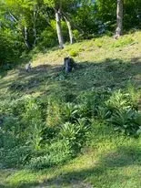 Custom garden landscaping in Bridgeport, WV - Evans Lawn Care