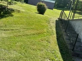 Top-rated yard cleanup service for beautiful yards in Bridgeport, WV by Evans Lawn Care