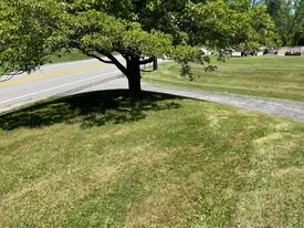 Local yard cleanup service in Bridgeport, WV - Evans Lawn Care