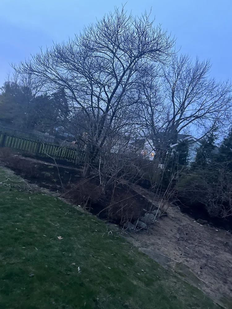 Expert lawn care service experts serving Dublin, OH - Evans Lawn Care