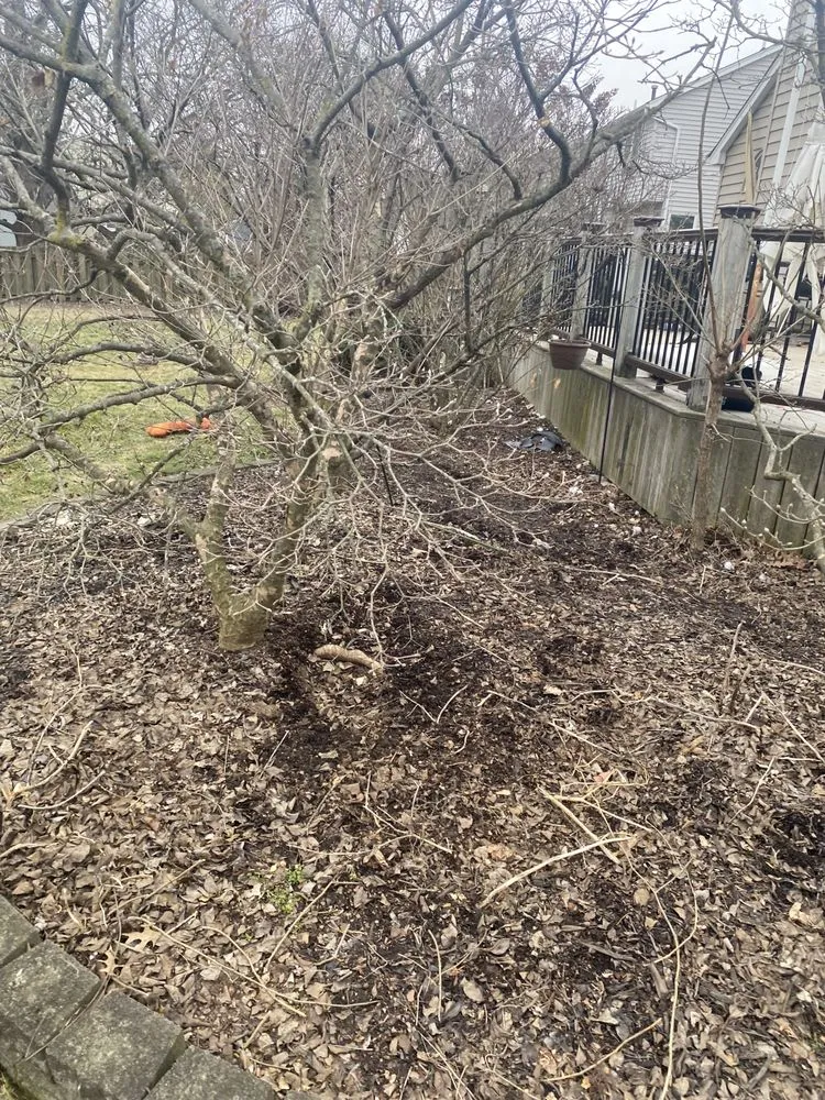 Reliable lawn care service experts serving Dublin, OH - Evans Lawn Care