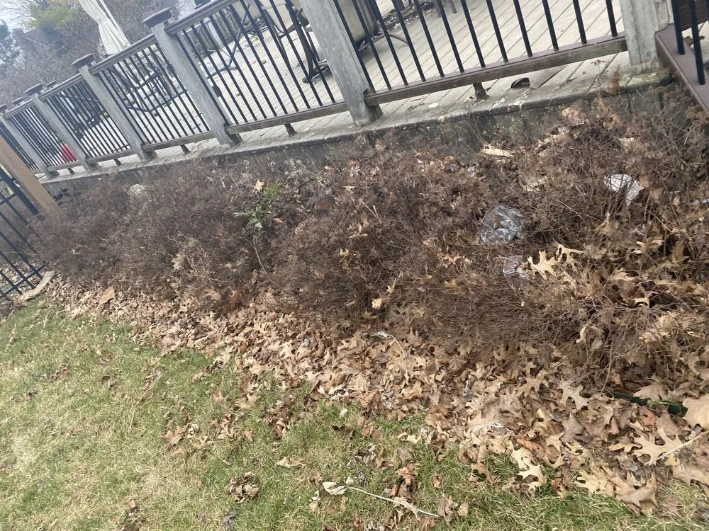 Trusted landscaping services in Dublin, OH by Evans Lawn Care