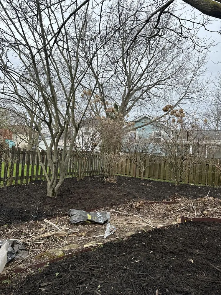 Top-rated lawn care service for outdoor upgrades in Dublin, OH by Evans Lawn Care