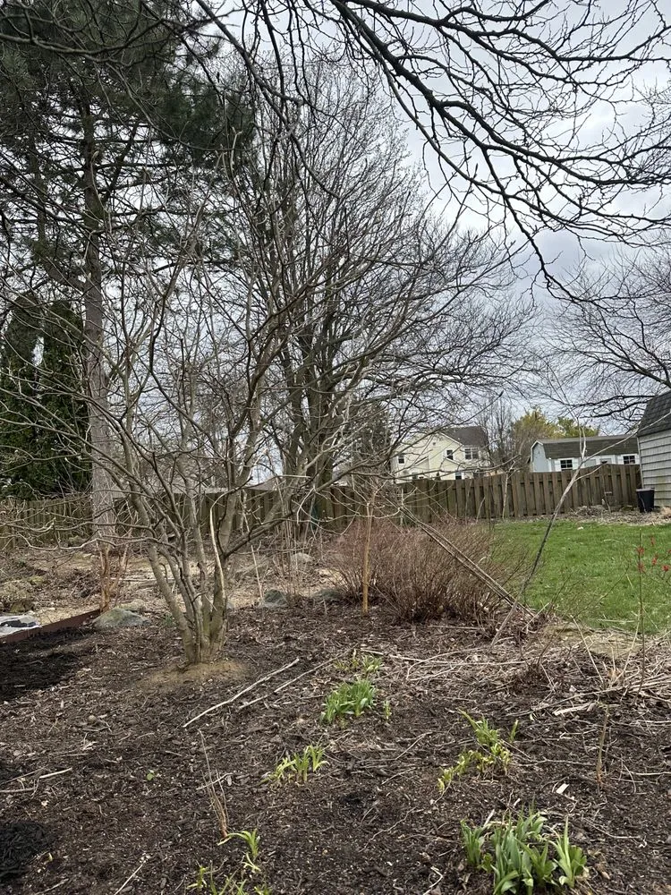 Custom landscaping services for homes across Dublin, OH - Evans Lawn Care