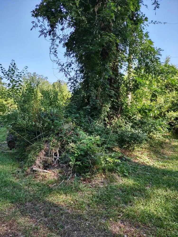 Professional garden landscaping for outdoor upgrades across El Dorado, AR - Evan's Lawn Care