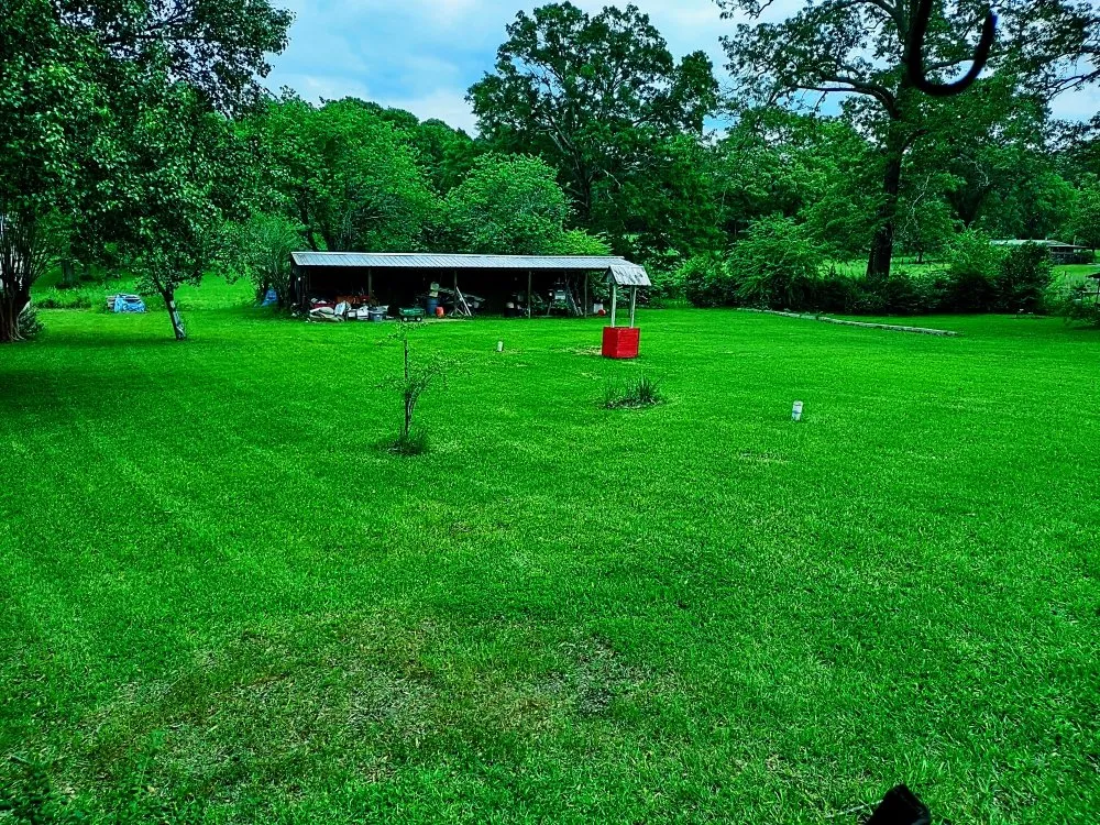 Affordable yard maintenance for year-round maintenance across El Dorado, AR - Evan's Lawn Care