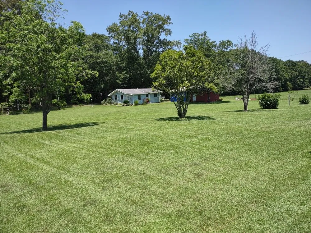 Expert outdoor landscaping experts serving El Dorado, AR - Evan's Lawn Care