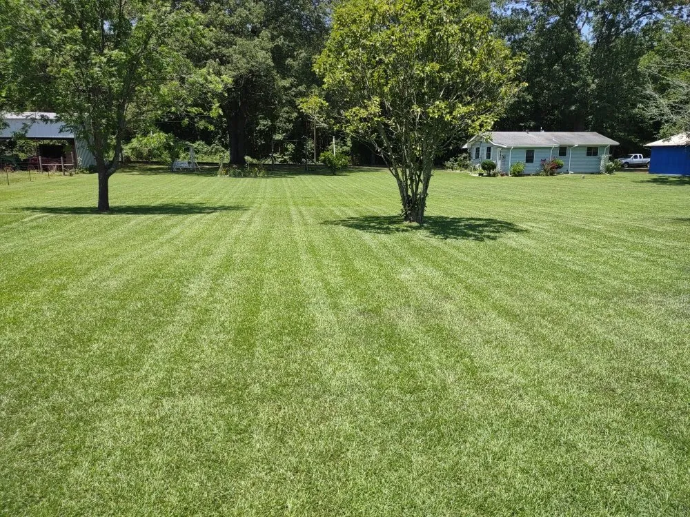 Reliable yard maintenance for beautiful yards in El Dorado, AR by Evan's Lawn Care