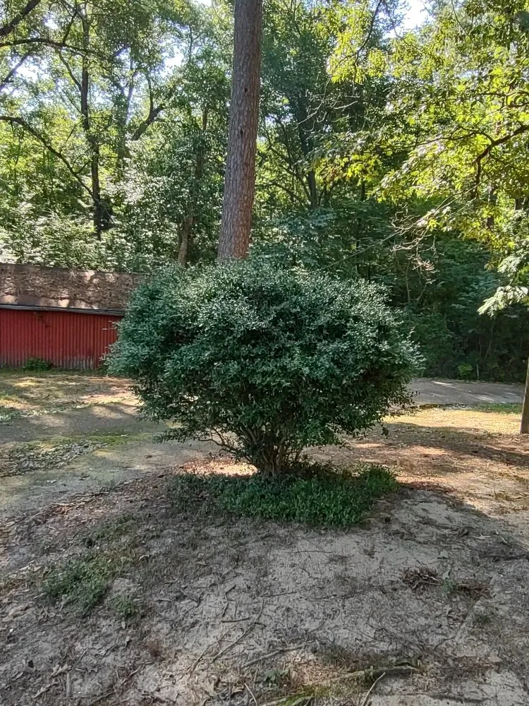 Reliable landscape installation experts serving El Dorado, AR - Evan's Lawn Care