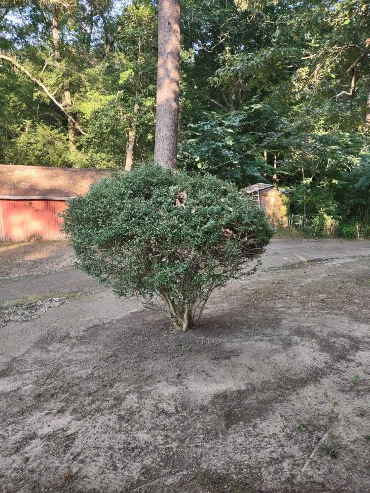 Affordable lawn mowing service experts serving El Dorado, AR - Evan's Lawn Care