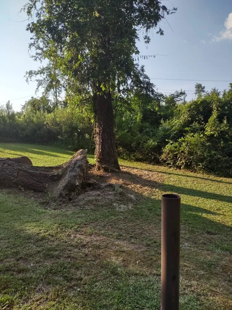 Custom outdoor landscaping for year-round maintenance in El Dorado, AR by Evan's Lawn Care