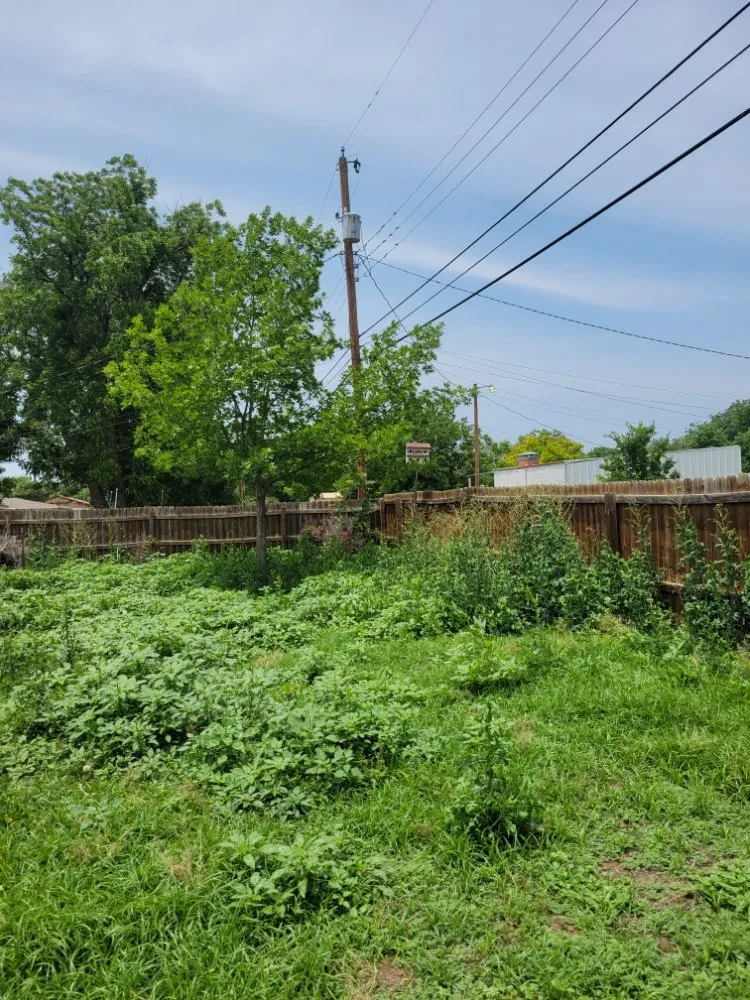 Local outdoor landscaping experts serving Abilene, TX - Evan's Lawn Service