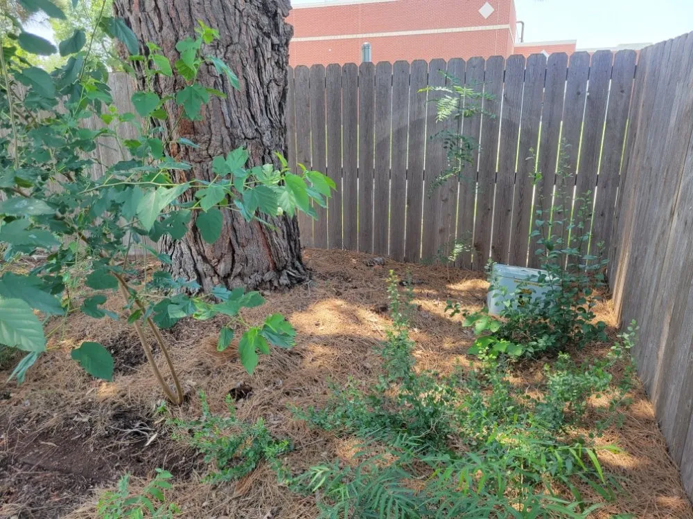 Expert garden landscaping experts serving Abilene, TX - Evan's Lawn Service