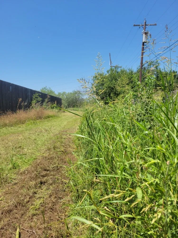 Reliable outdoor landscaping in Abilene, TX - Evan's Lawn Service