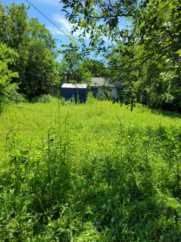 Trusted lawn care service in Abilene, TX - Evan's Lawn Service