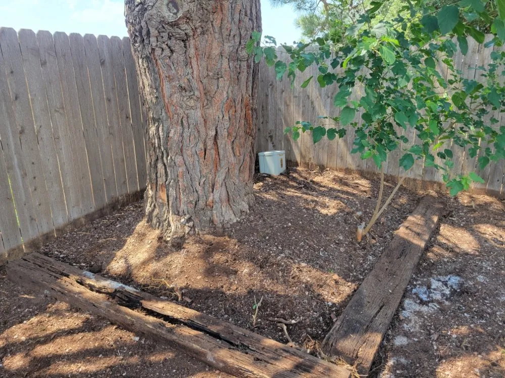 Affordable landscaping services in Abilene, TX by Evan's Lawn Service