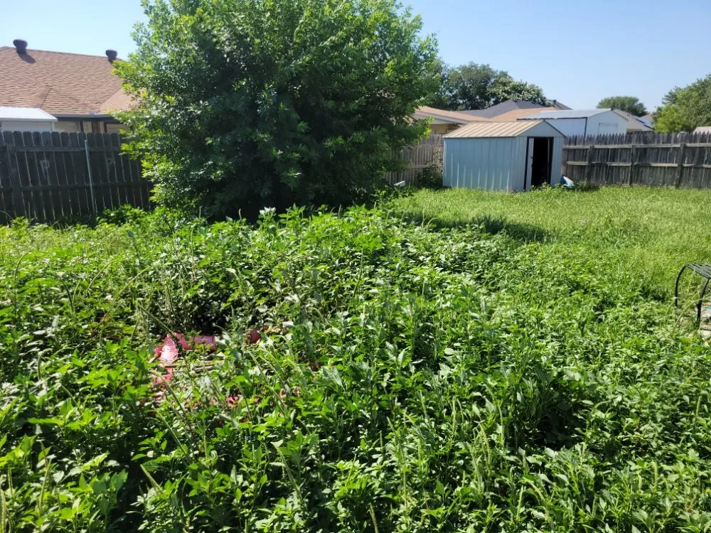 Trusted landscape design in Abilene, TX - Evan's Lawn Service